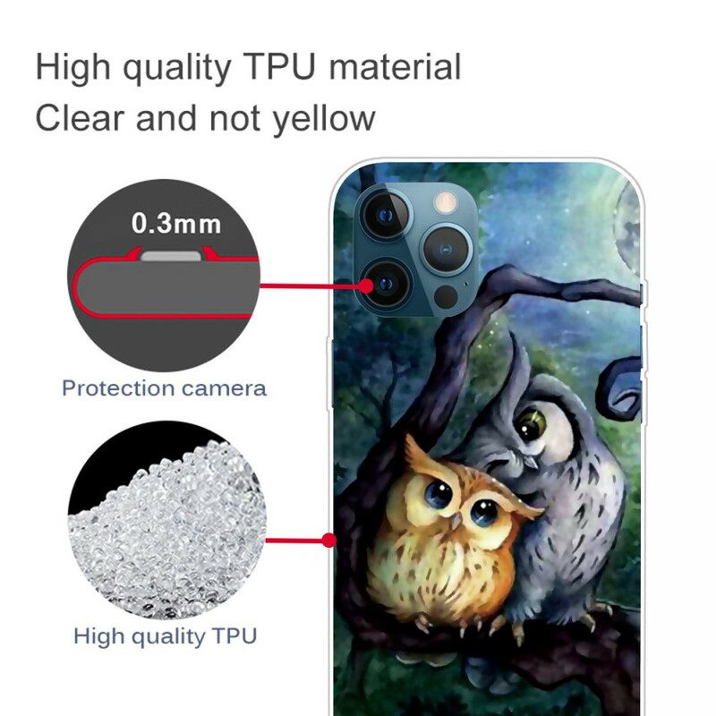 Cover iPhone 13 Pro Max Pittura Gufi
