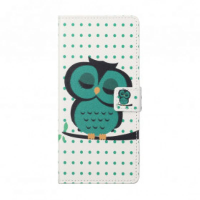 Custodia in pelle Xiaomi Redmi Note 10 Pro Gufo Addormentato