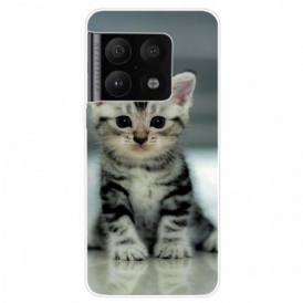 Cover OnePlus 10 Pro 5G Gattino Gattino