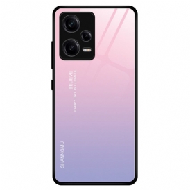 Cover Xiaomi Redmi Note 12 Pro Vetro Temperato Sfumato