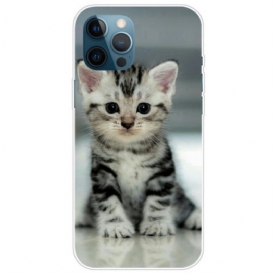 Cover iPhone 14 Pro Max Gattino