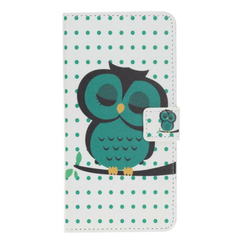Folio Cover iPhone 11 Gufo Addormentato